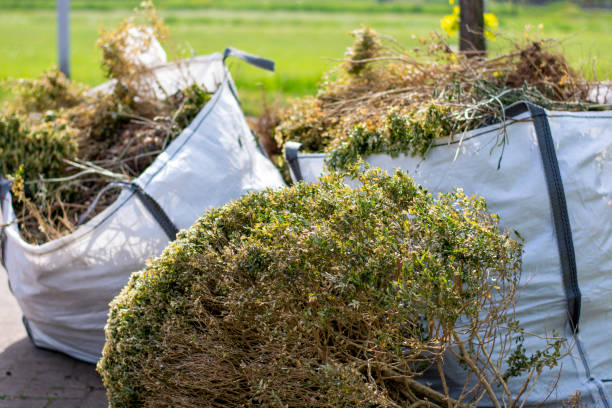 Attic Cleanout Services in Bangor, WI